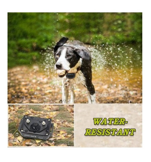 Petrainer 998DBU Waterproof Dog Training Collar